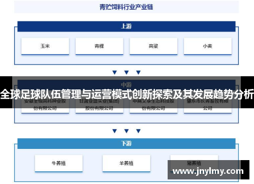 全球足球队伍管理与运营模式创新探索及其发展趋势分析